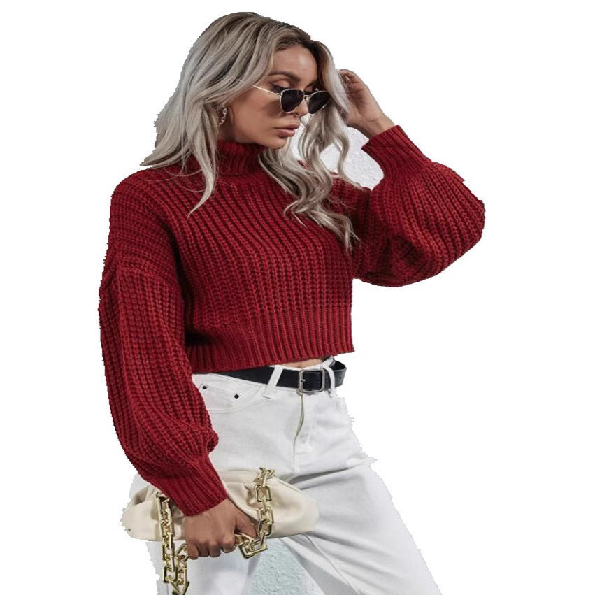 FrostEdge Crop Turtleneck