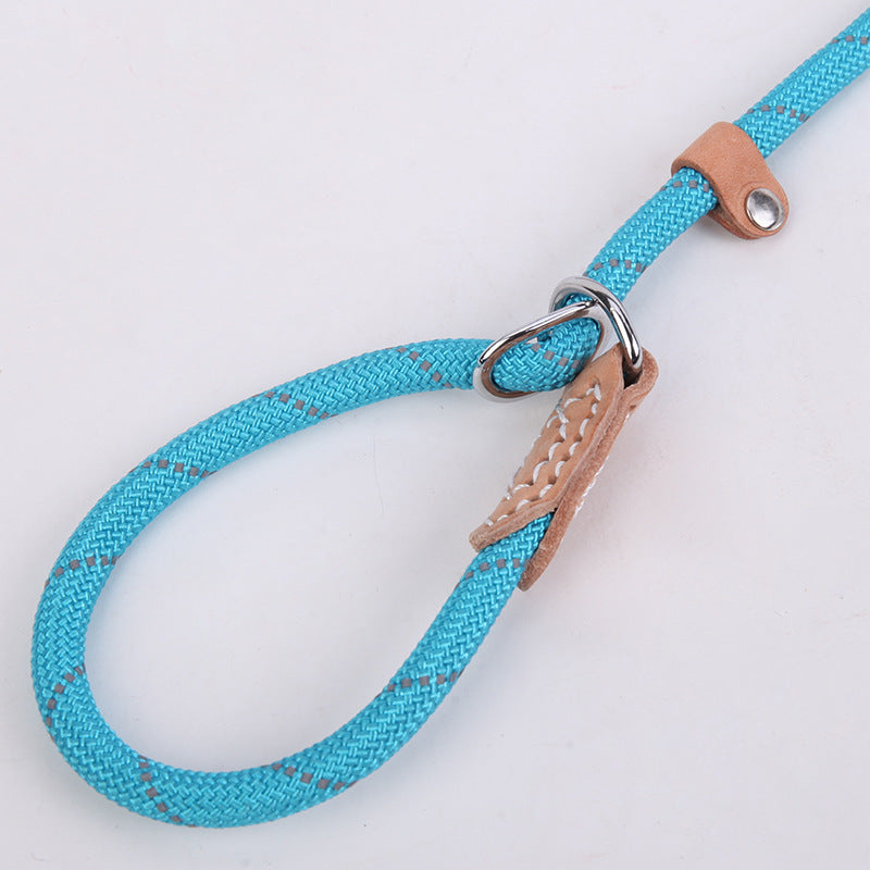 Reflective silk hyena leash