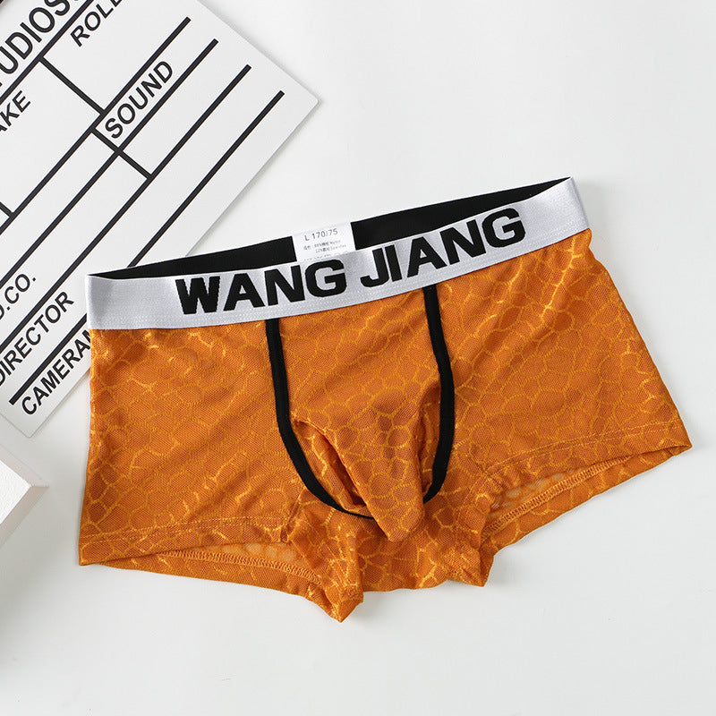 Men's Underwear Ice Silk Mesh Fabric Translucent Ice Silk