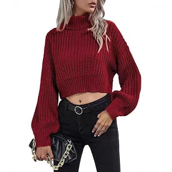 FrostEdge Crop Turtleneck
