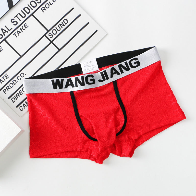 Men's Underwear Ice Silk Mesh Fabric Translucent Ice Silk