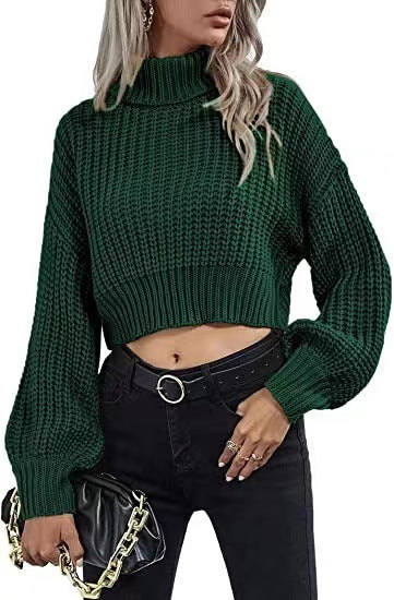 FrostEdge Crop Turtleneck