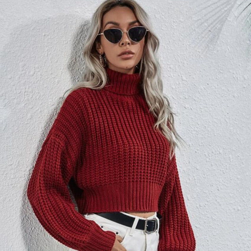 FrostEdge Crop Turtleneck