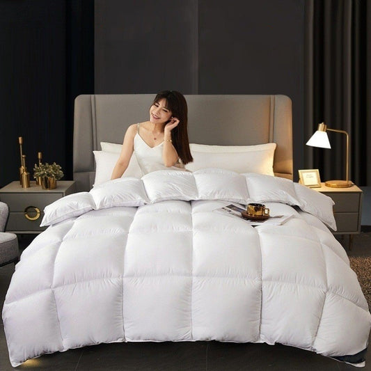 Warm Mute Silk Quilt Winter