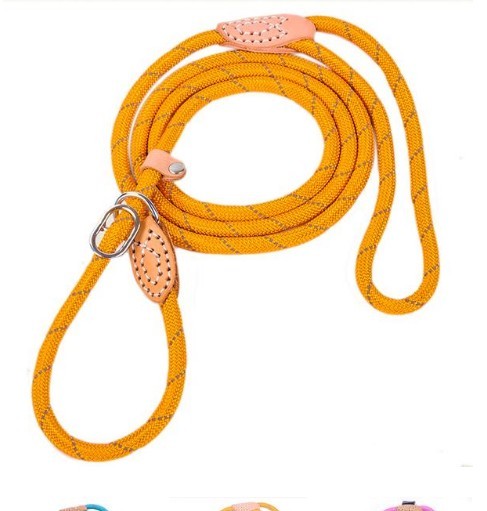 Reflective silk hyena leash