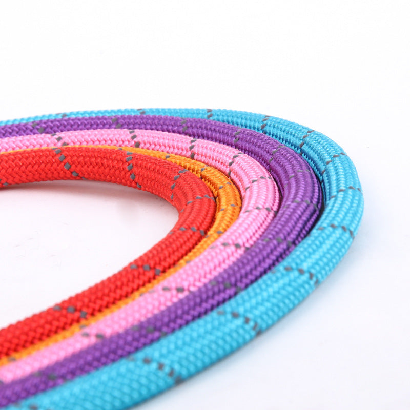 Reflective silk hyena leash