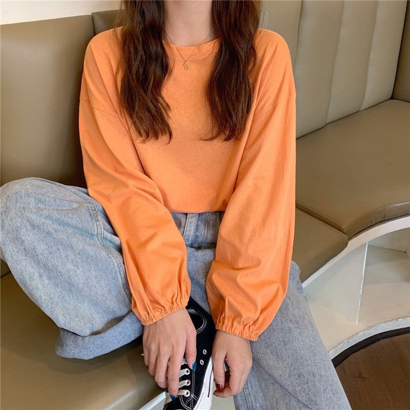 Academé SleekLantern Knit