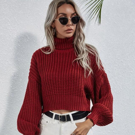 FrostEdge Crop Turtleneck