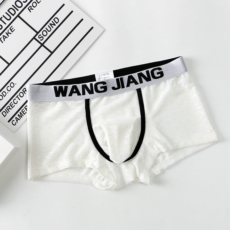 Men's Underwear Ice Silk Mesh Fabric Translucent Ice Silk