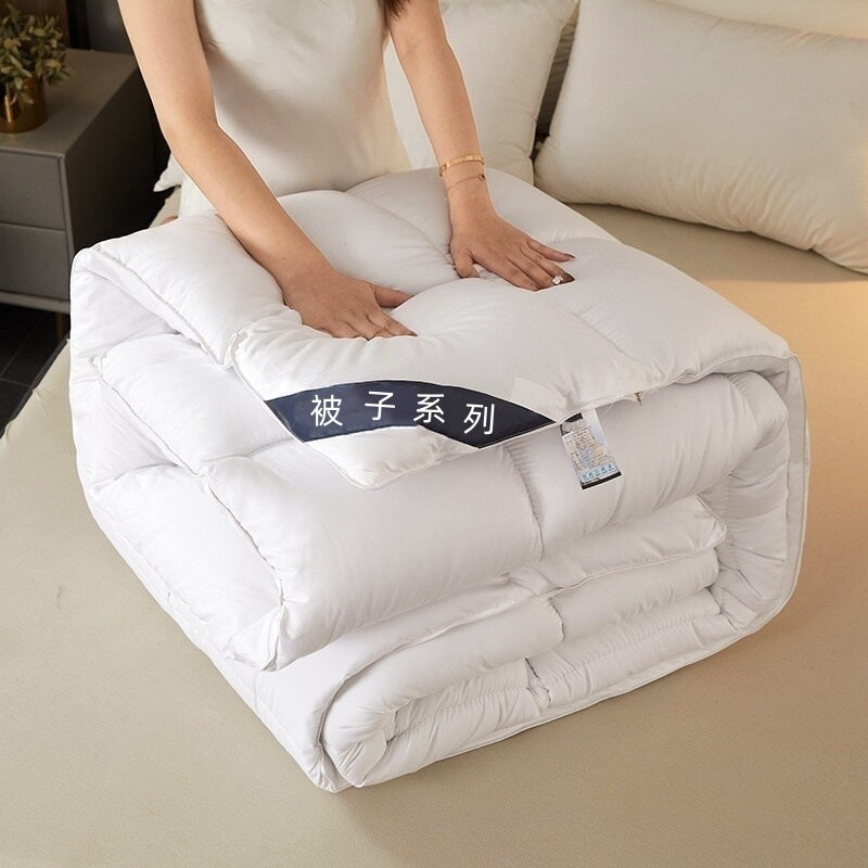 Warm Mute Silk Quilt Winter