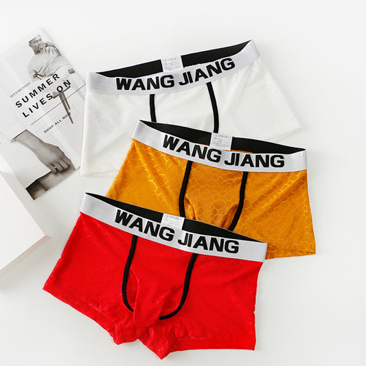Men's Underwear Ice Silk Mesh Fabric Translucent Ice Silk