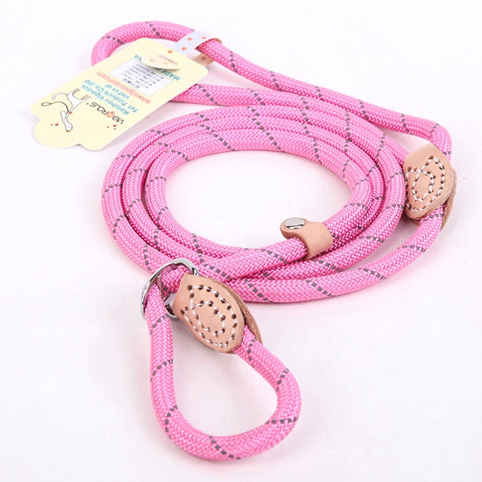 Reflective silk hyena leash