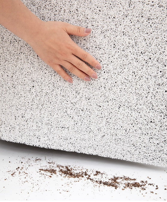 Silk Mat Wear-resistant Door Door Carpet