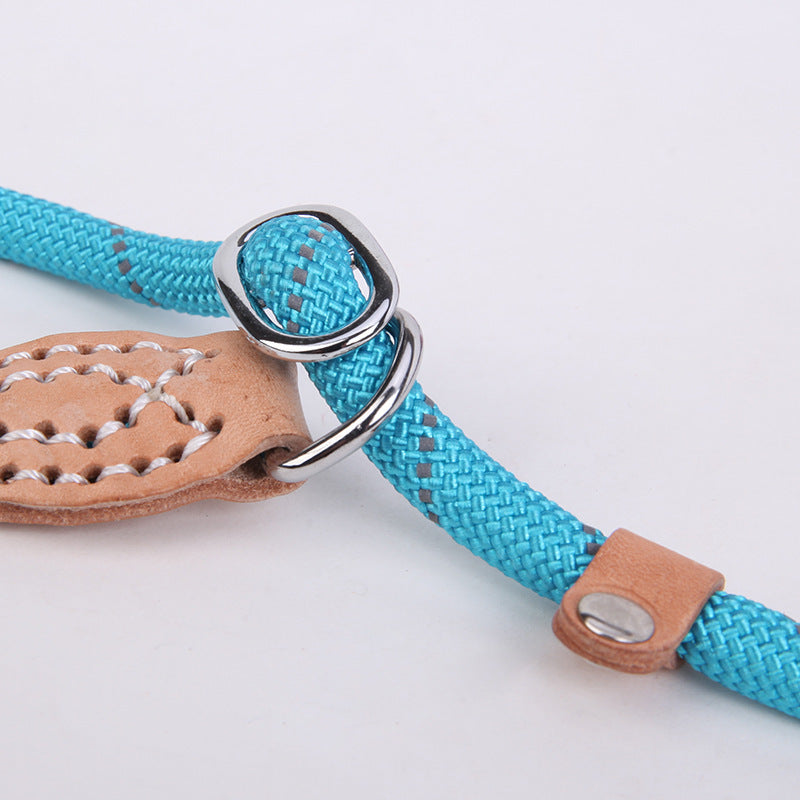 Reflective silk hyena leash
