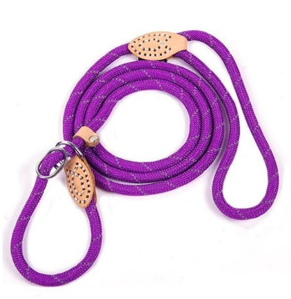 Reflective silk hyena leash