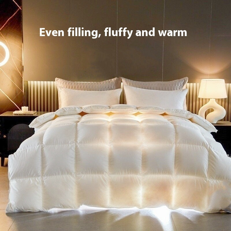 Warm Mute Silk Quilt Winter
