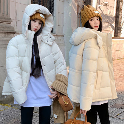 Arctelle Winter Coat