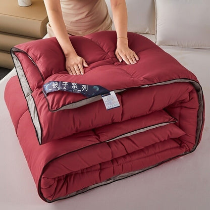 Warm Mute Silk Quilt Winter