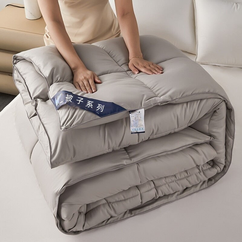 Warm Mute Silk Quilt Winter