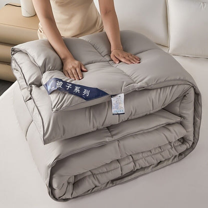 Warm Mute Silk Quilt Winter