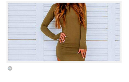 Women's Milk Silk Basic Round Neck Hip Dress