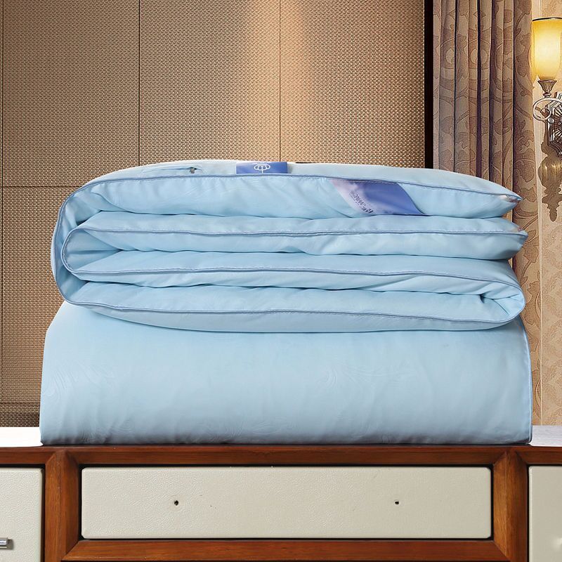 Silk Thickened Winter Cotton Padded Quilt Household