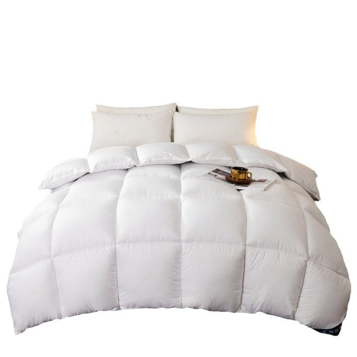 Warm Mute Silk Quilt Winter
