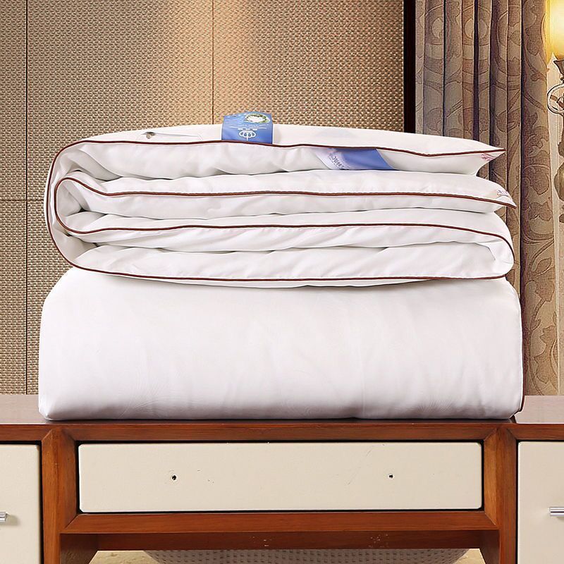 Silk Thickened Winter Cotton Padded Quilt Household