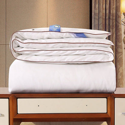 Silk Thickened Winter Cotton Padded Quilt Household