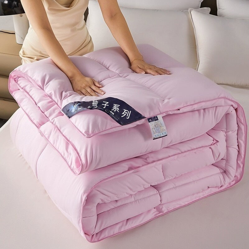 Warm Mute Silk Quilt Winter