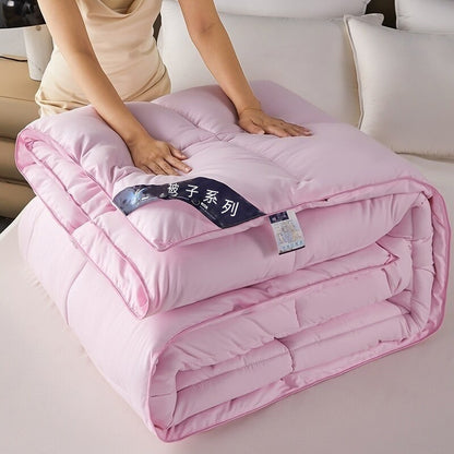 Warm Mute Silk Quilt Winter