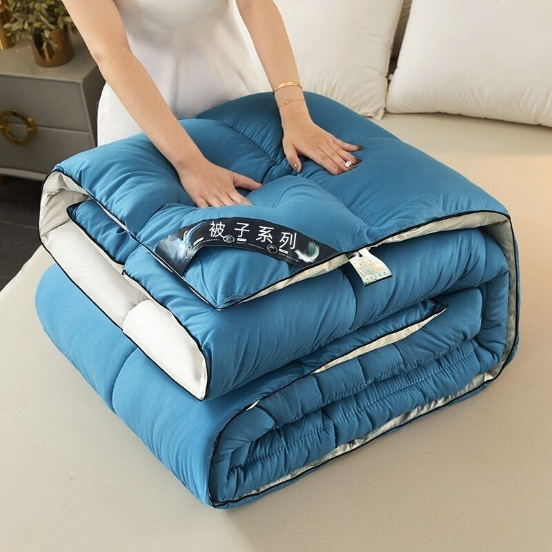 Warm Mute Silk Quilt Winter