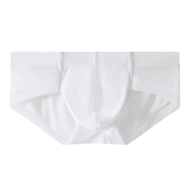 Men's Low Waist Ice Silk Thin Briefs